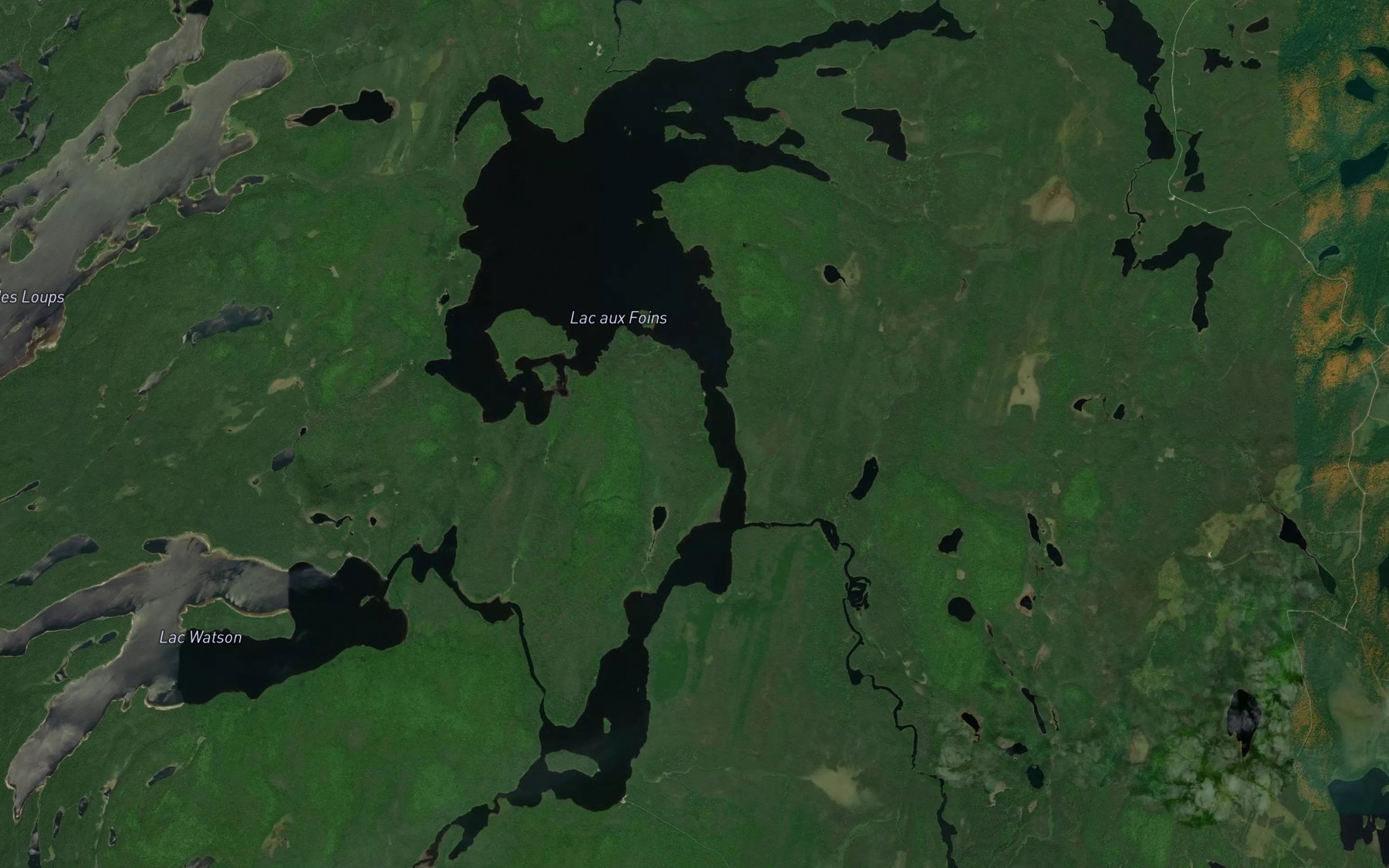 Satellite map of the Lac aux Foins