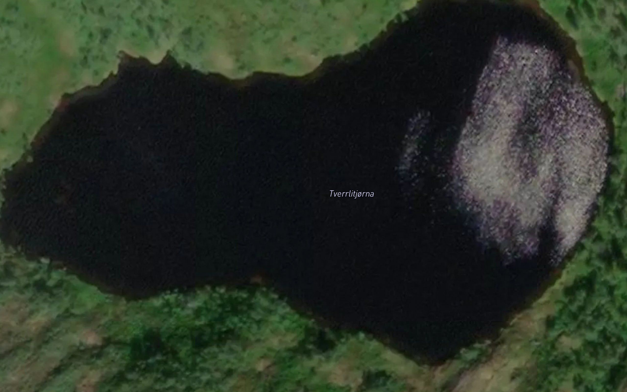 Tverrlitjorna