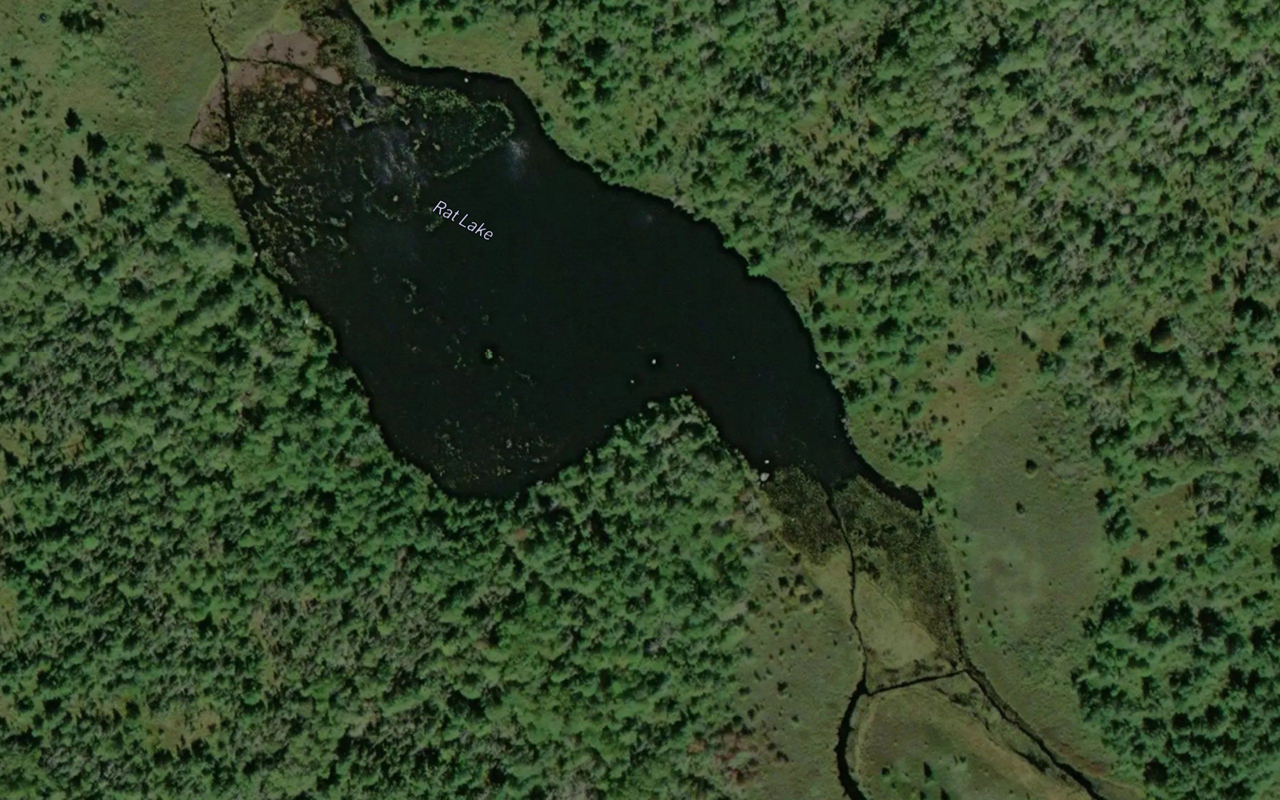 Rat Lake