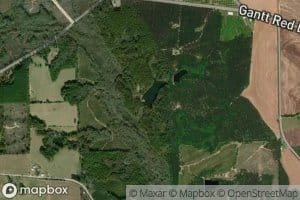 Little Pond