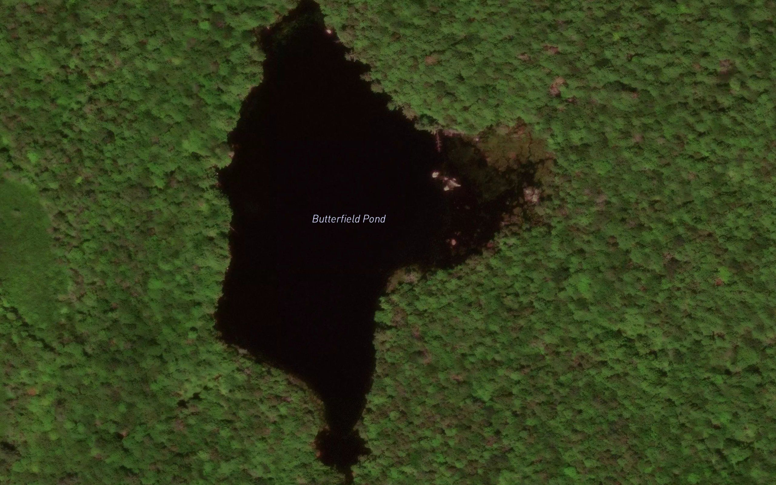 Butterfield Pond