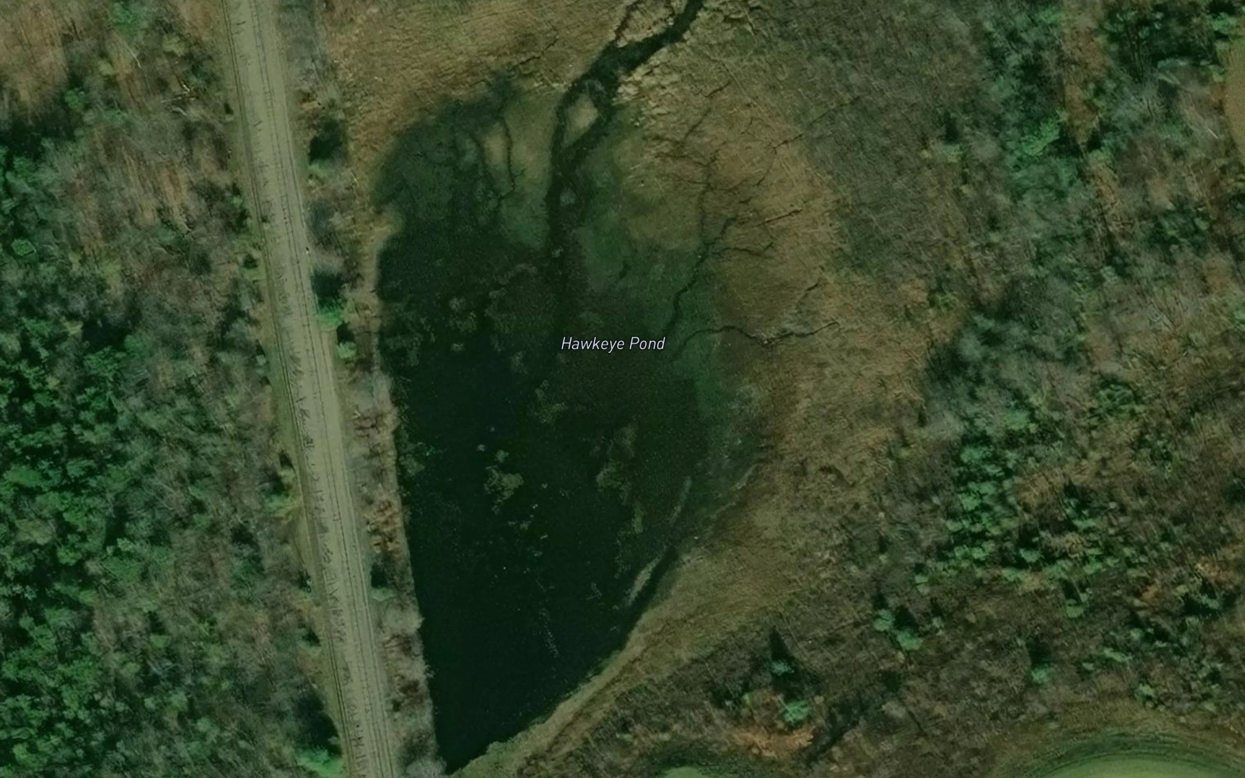 Hawkey Pond