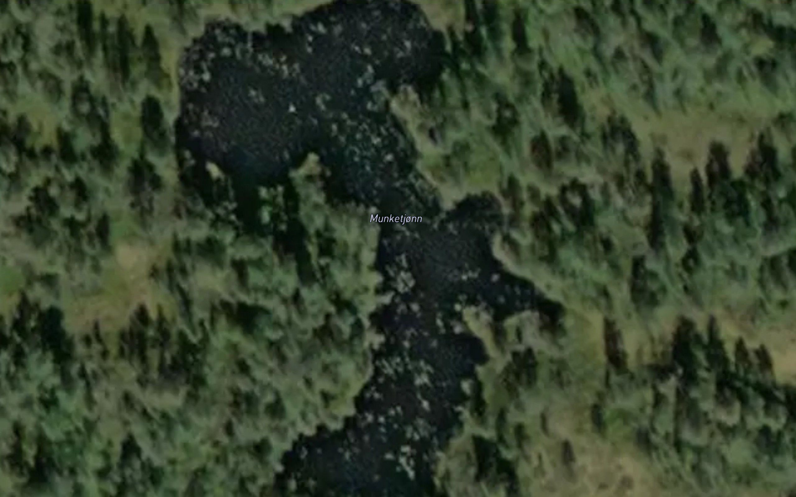Munketjonn