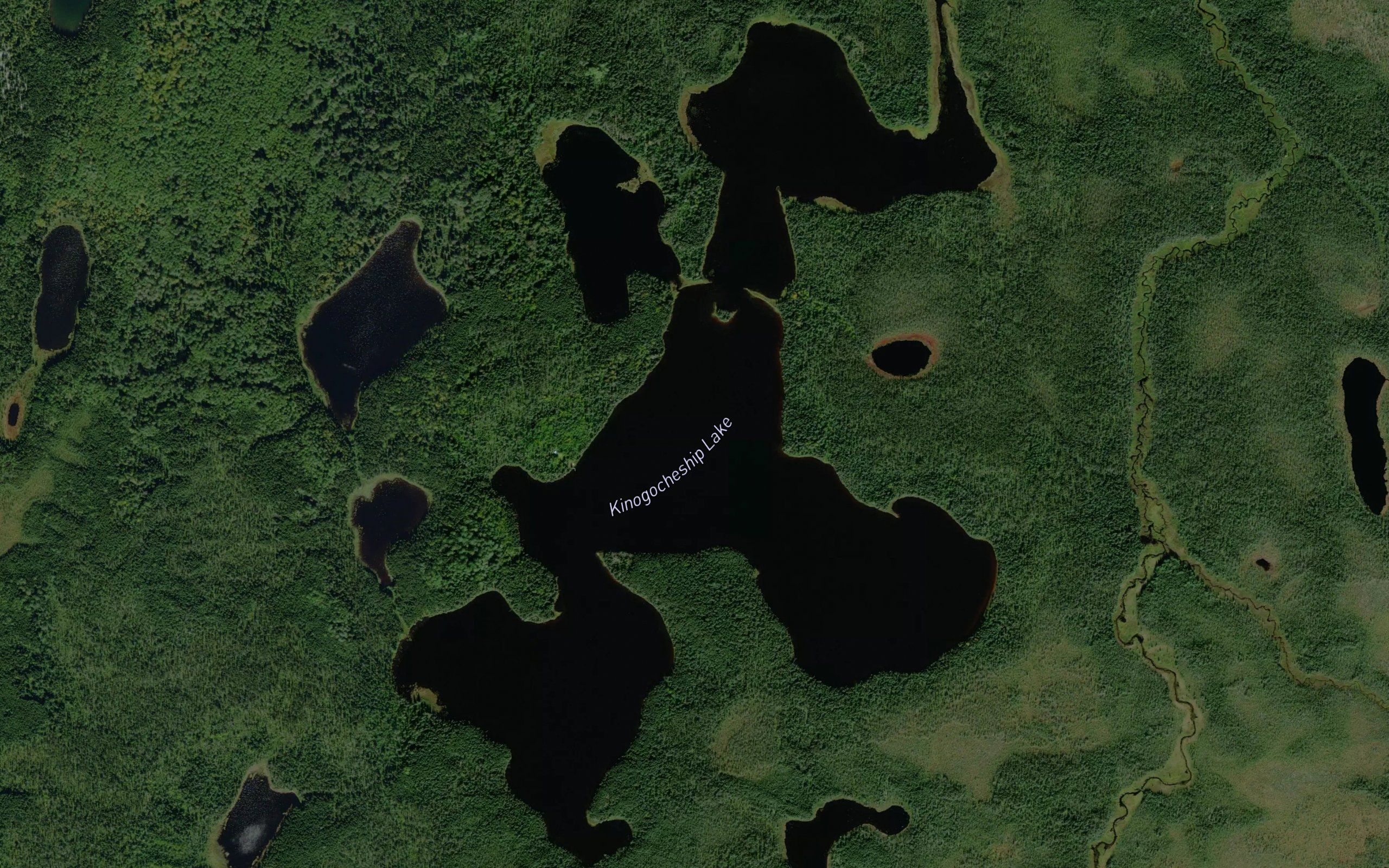 Kinogocheship Lake