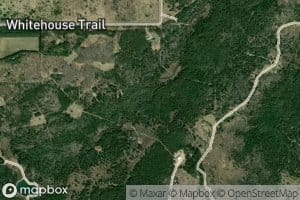 South Branch Pigeon River