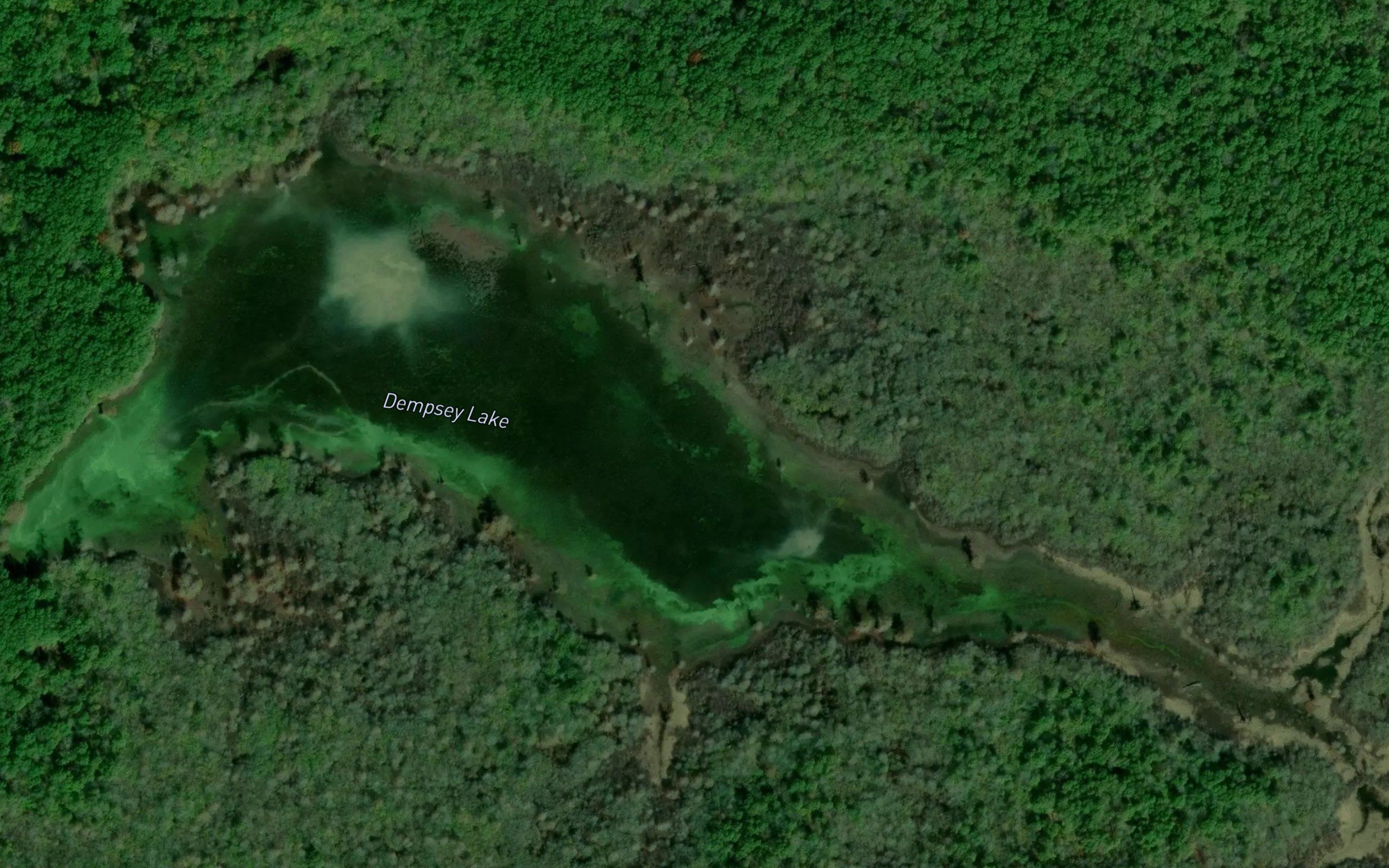 Dempsey Lake