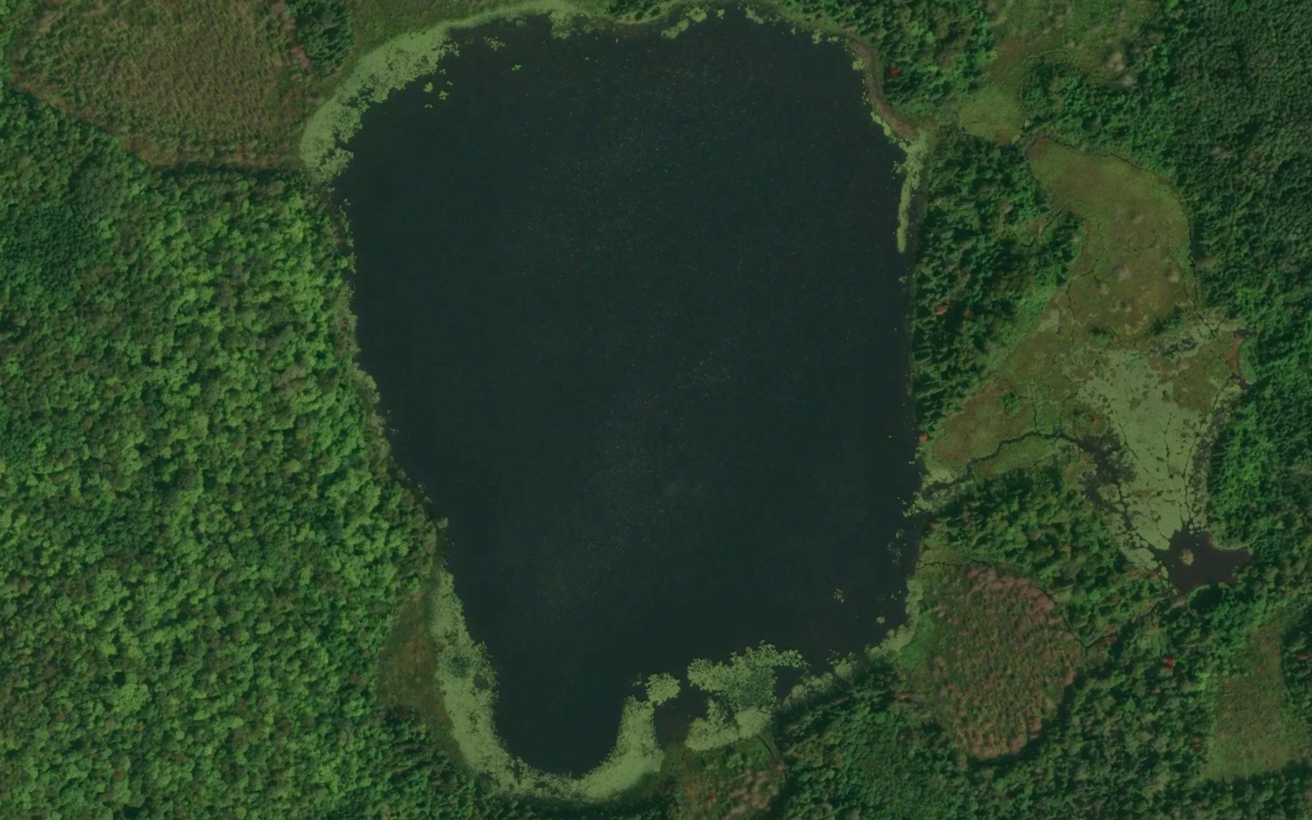 Little Rose Lake