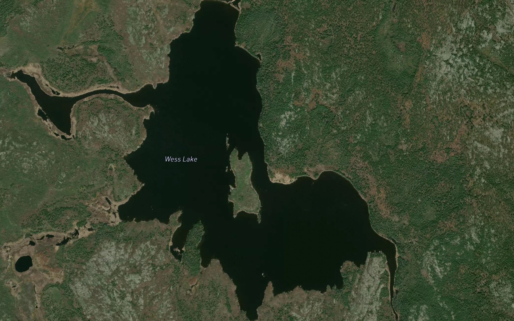 Satellite map of the Wess Lake