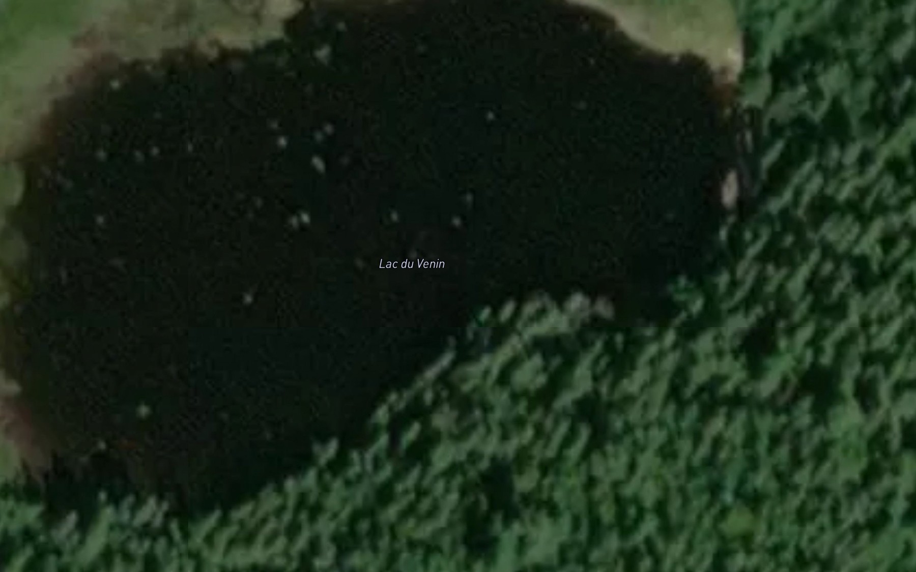 Satellite map of the Lac du Venin