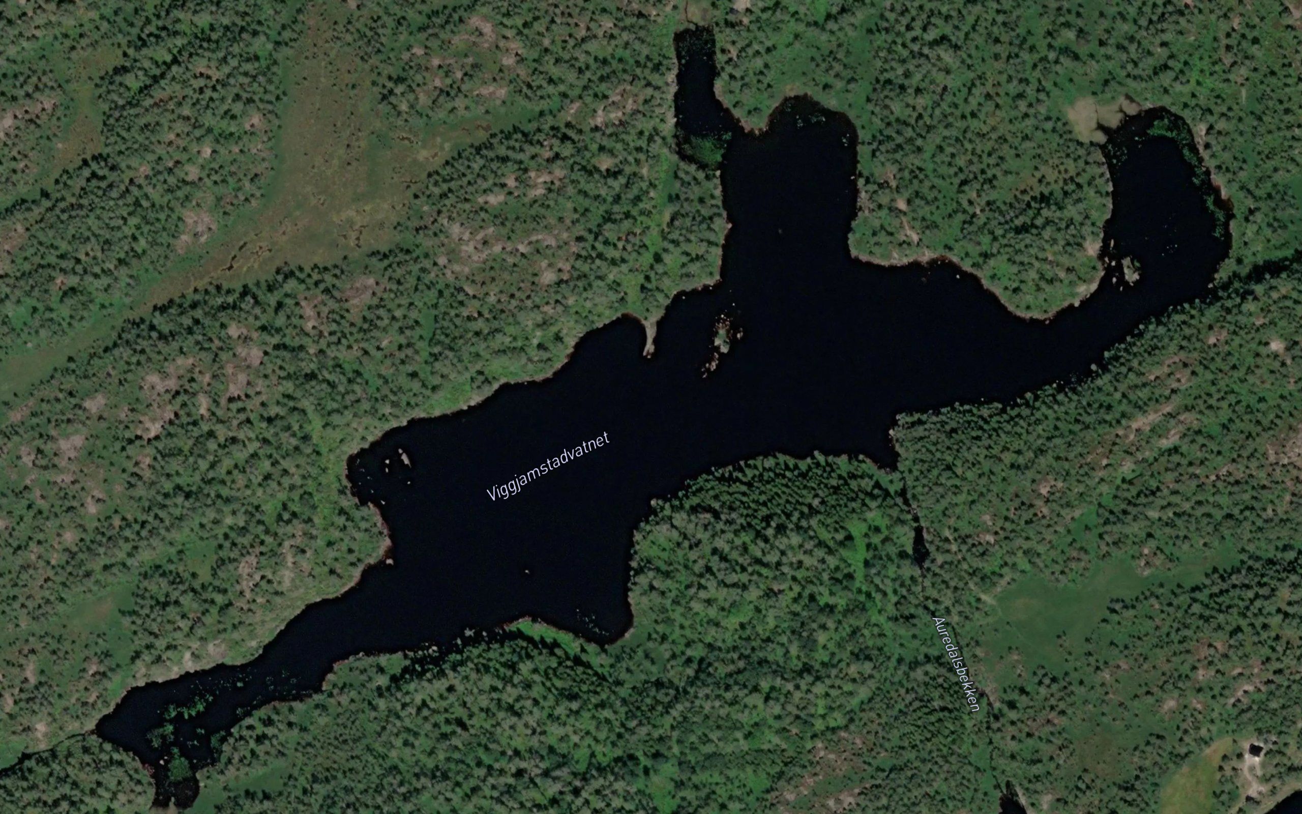 Viggjamstadvatnet