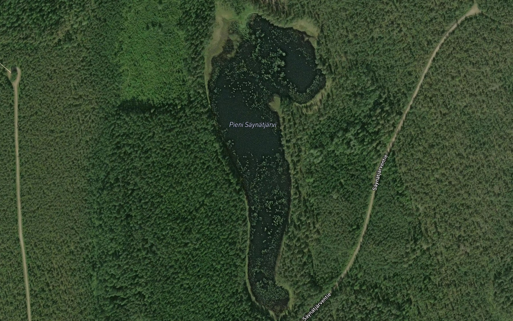 Satellite map of the Pieni Saynatjarvi