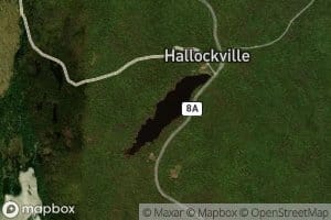 Hallockville Pond