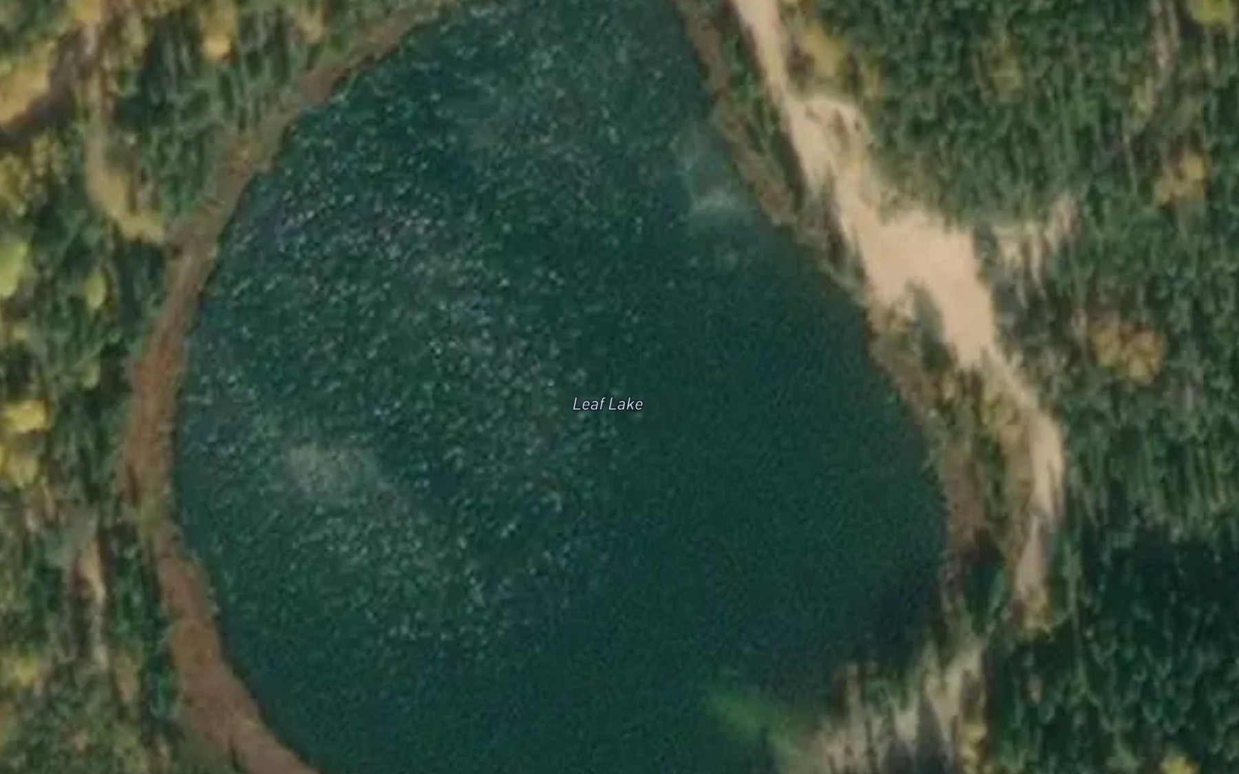 Satellite map of the Leaf Lake
