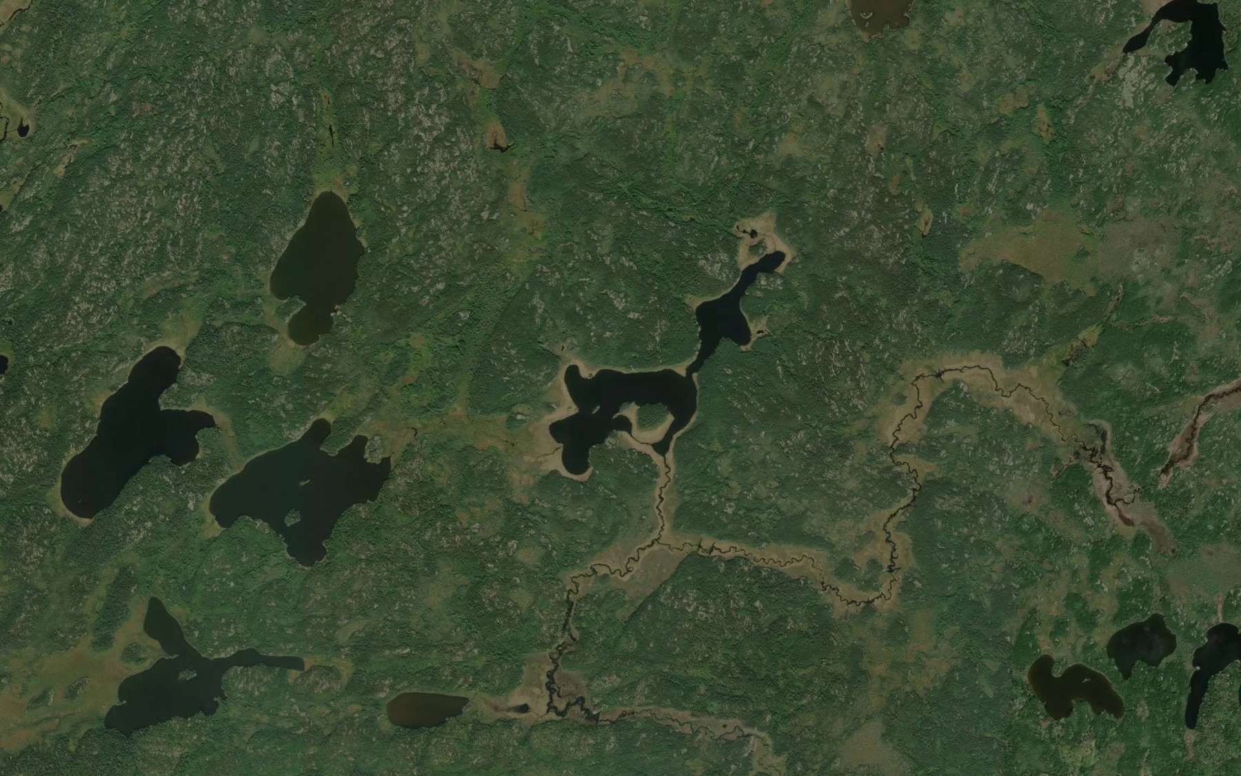 Satellite map of the Pine Lake