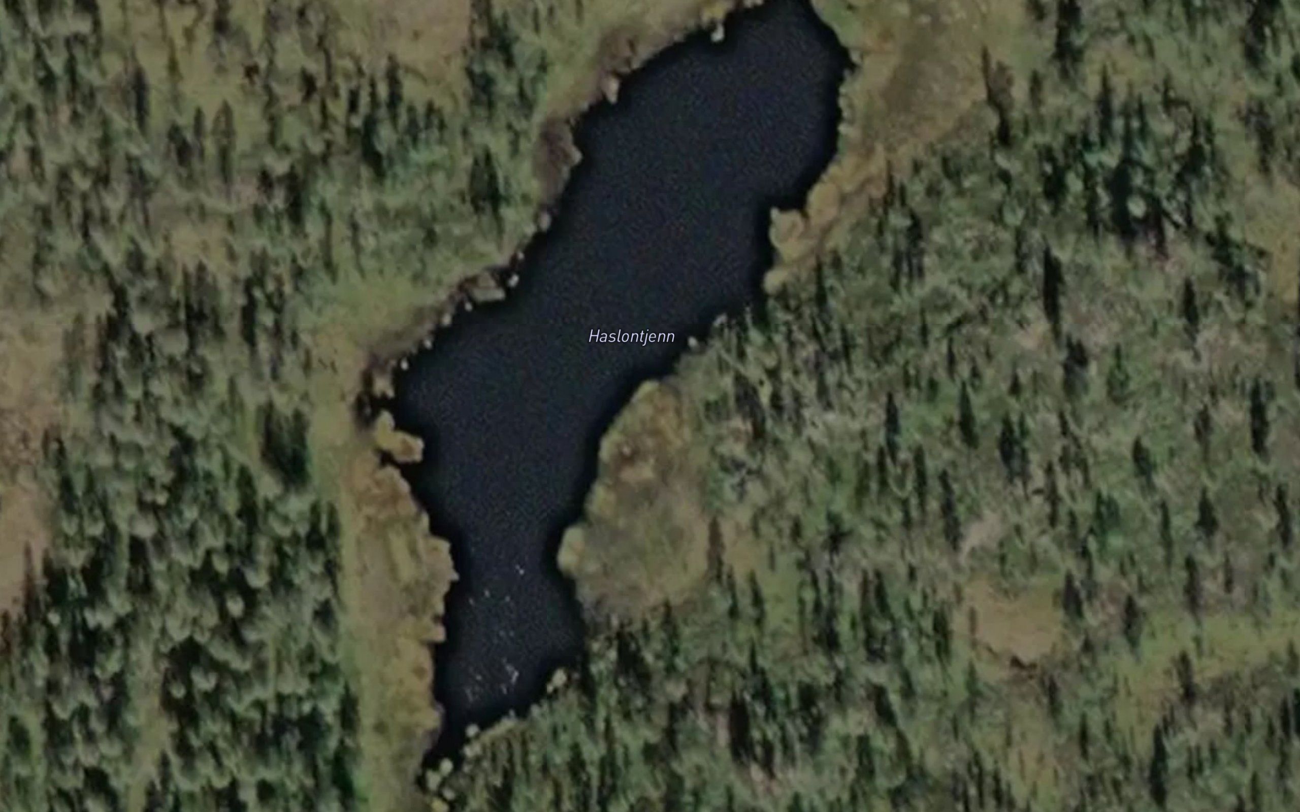 Haslontjerna