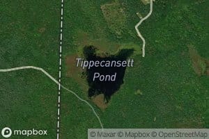 Tippecansett Pond