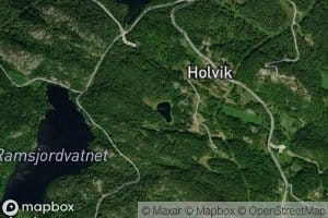Holviktjonna