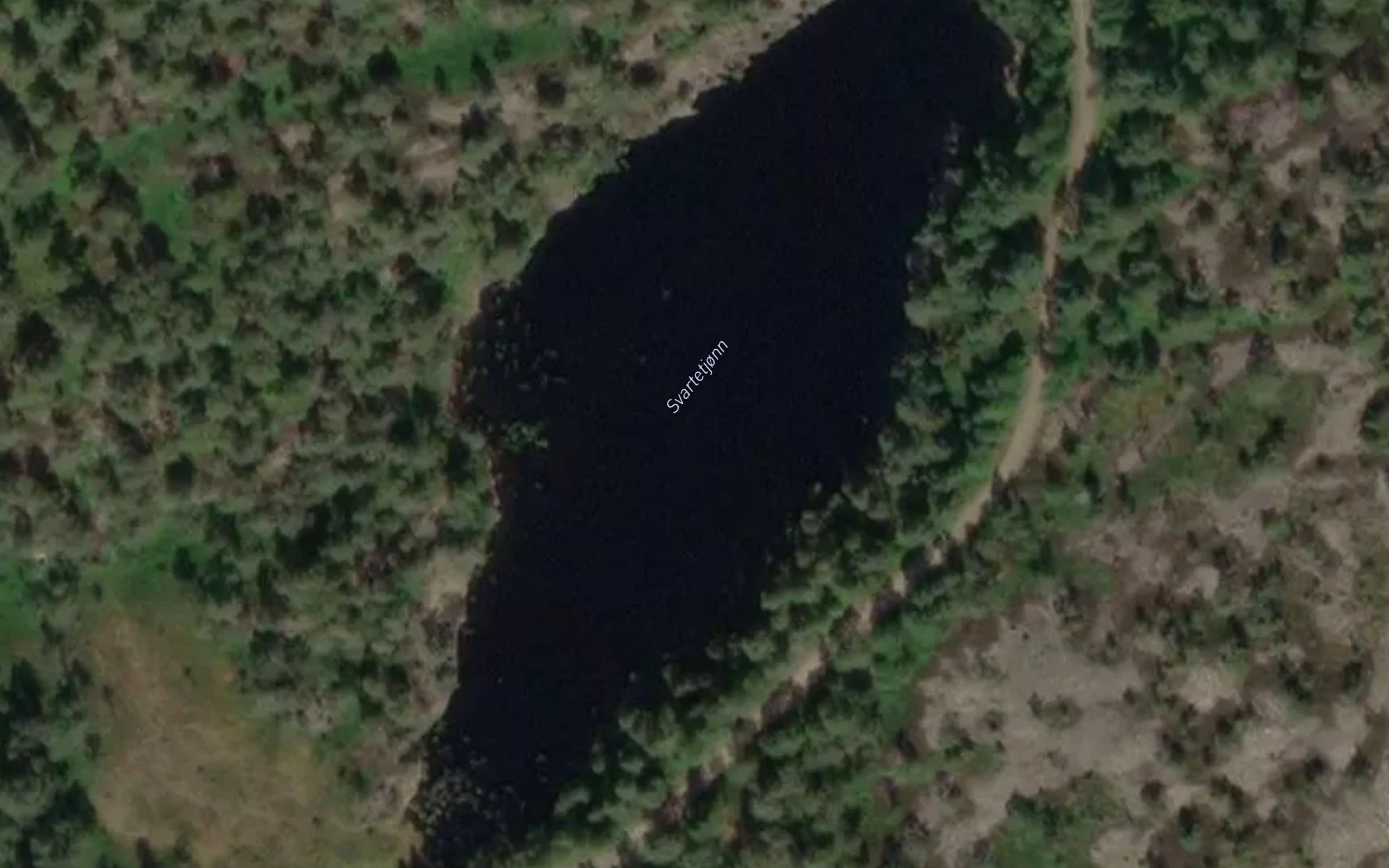 Svartetjorn