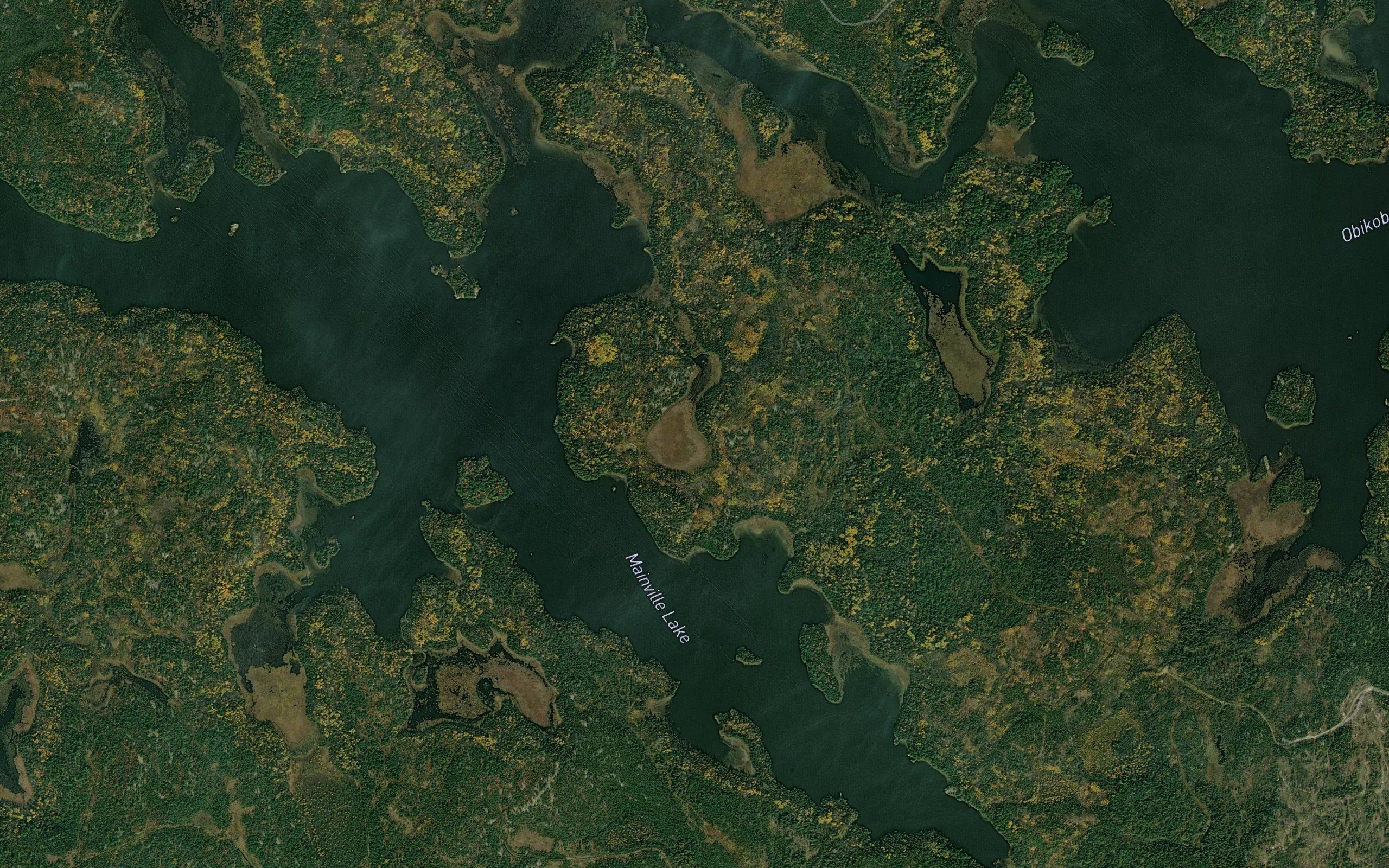 Otter Bay