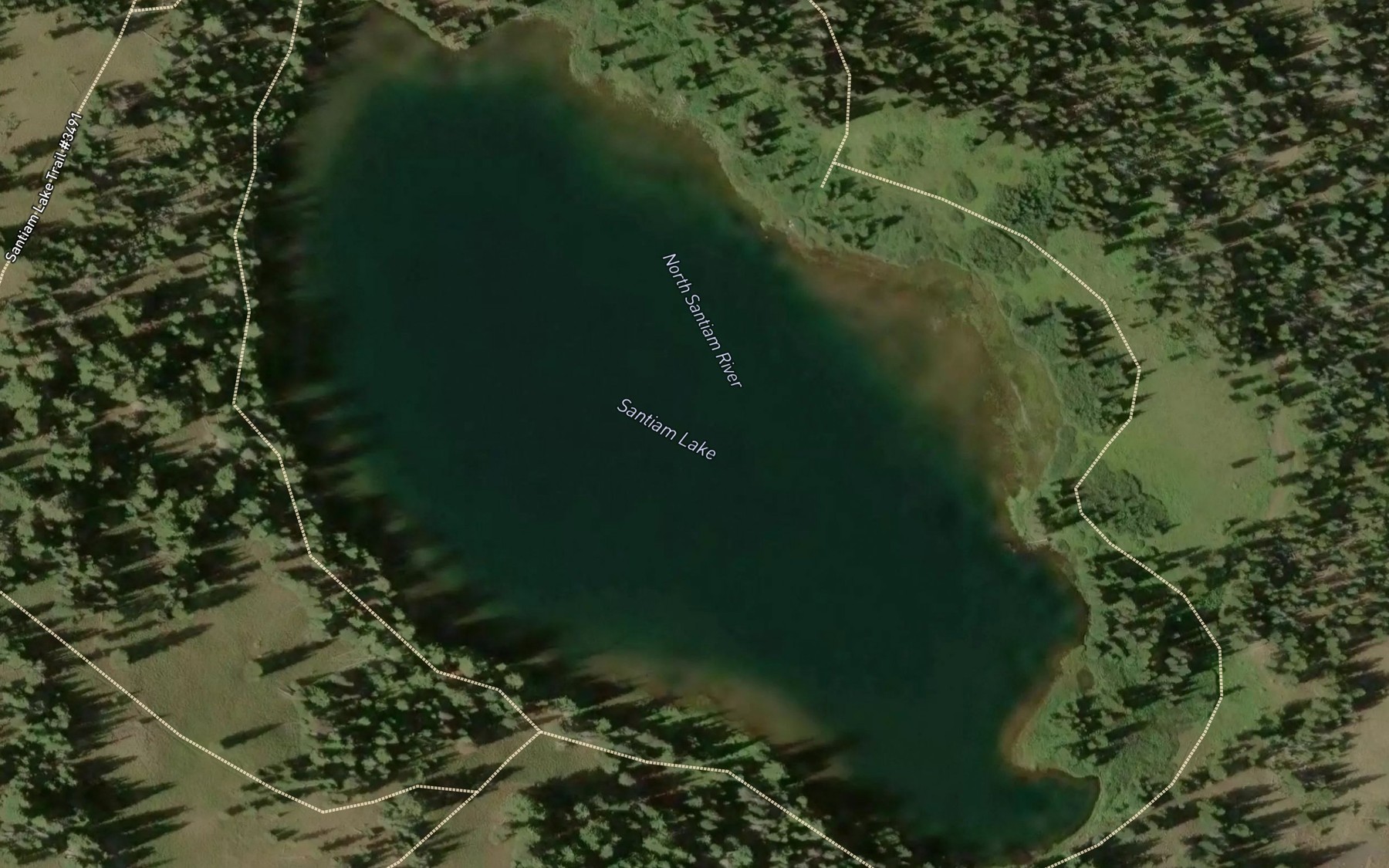 Satellite map of the Santiam Lake
