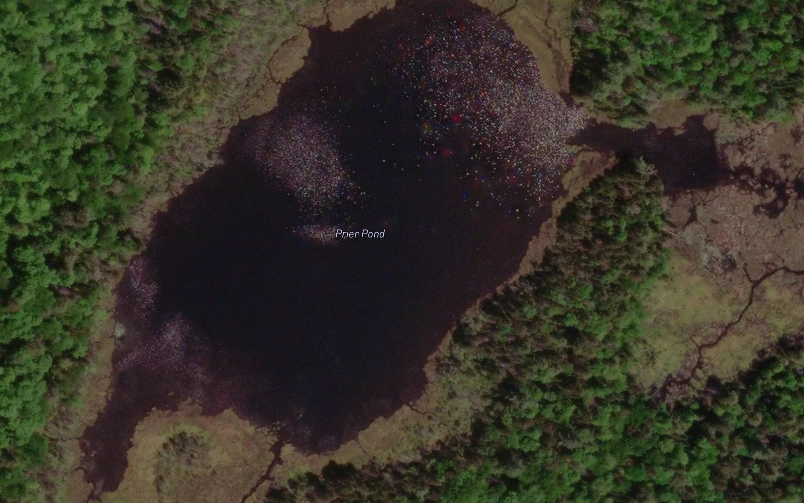 Prier Pond