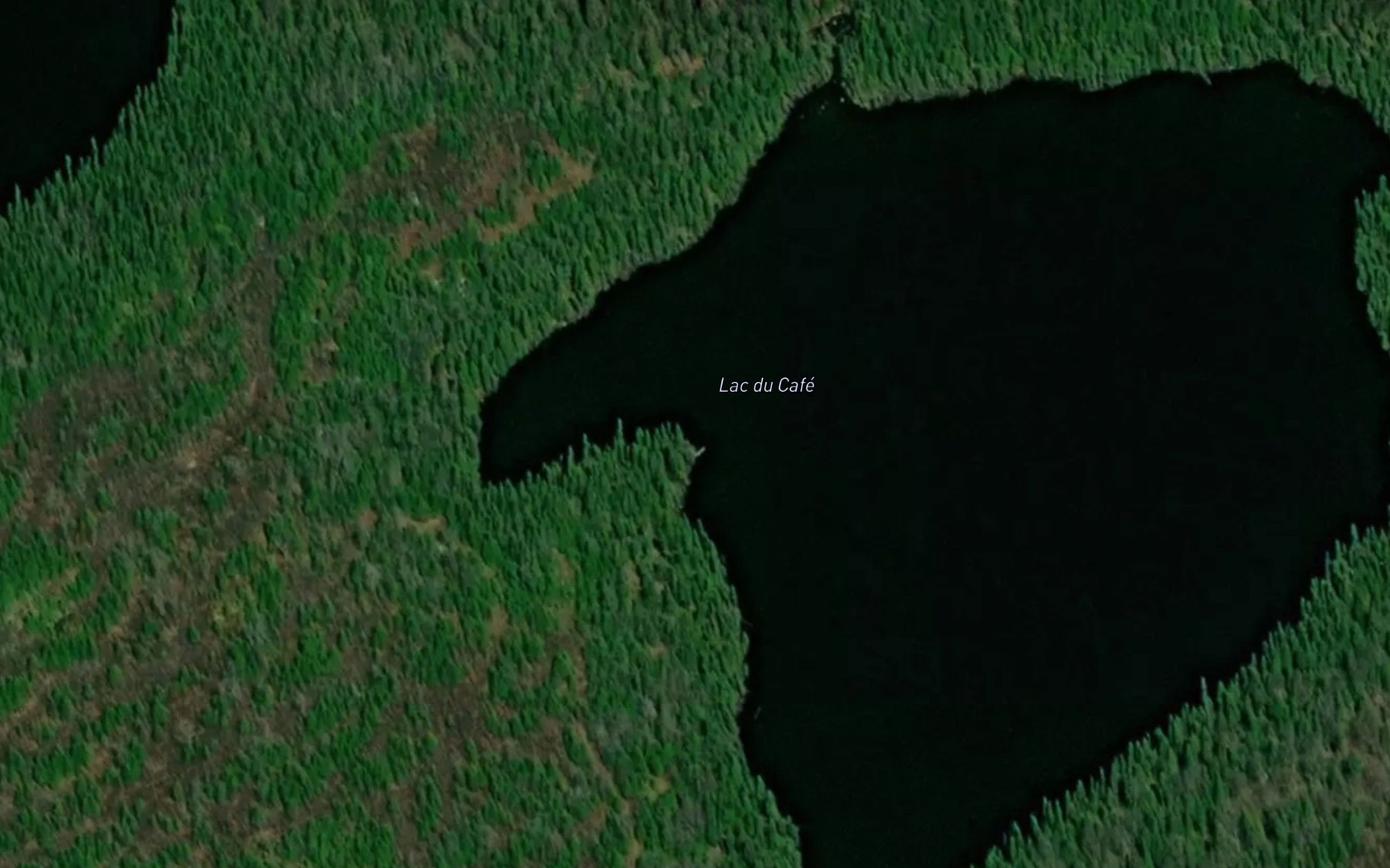 Satellite map of the Lac du Cafe