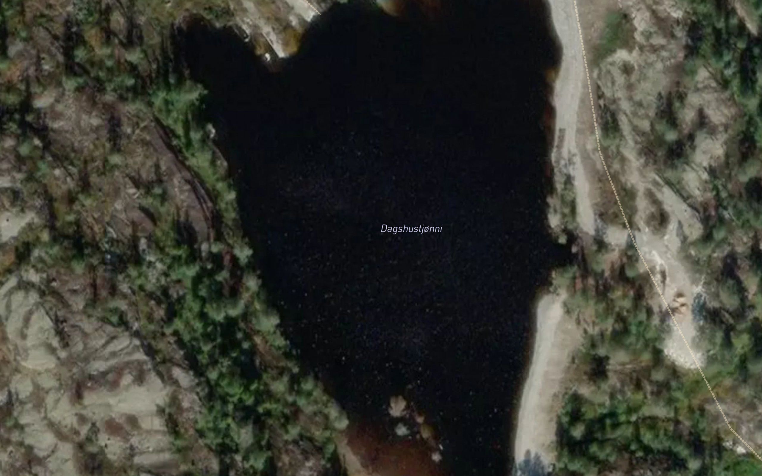 Dagshustjorn