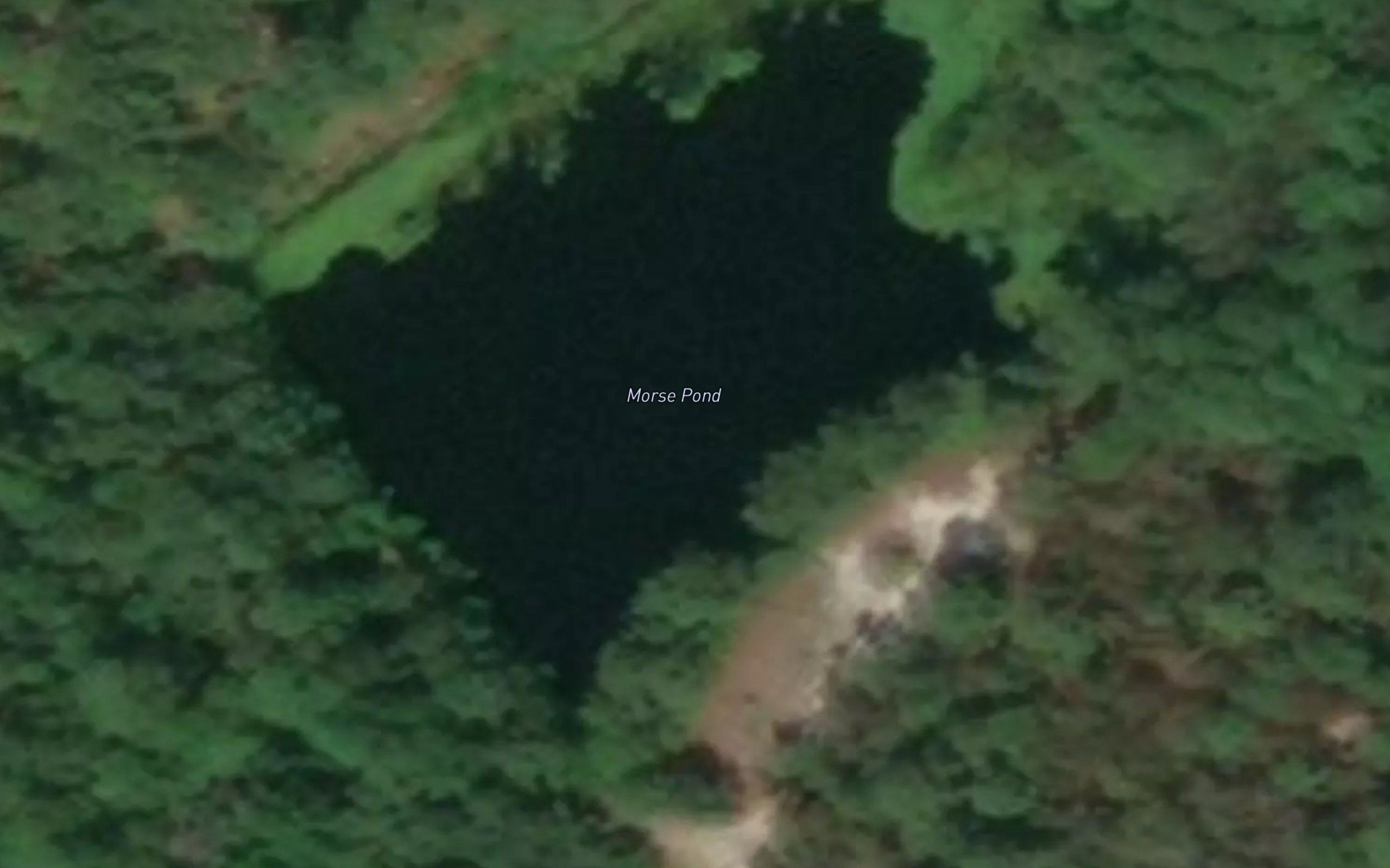 Morse Pond