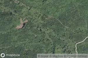 Salmonberry Creek