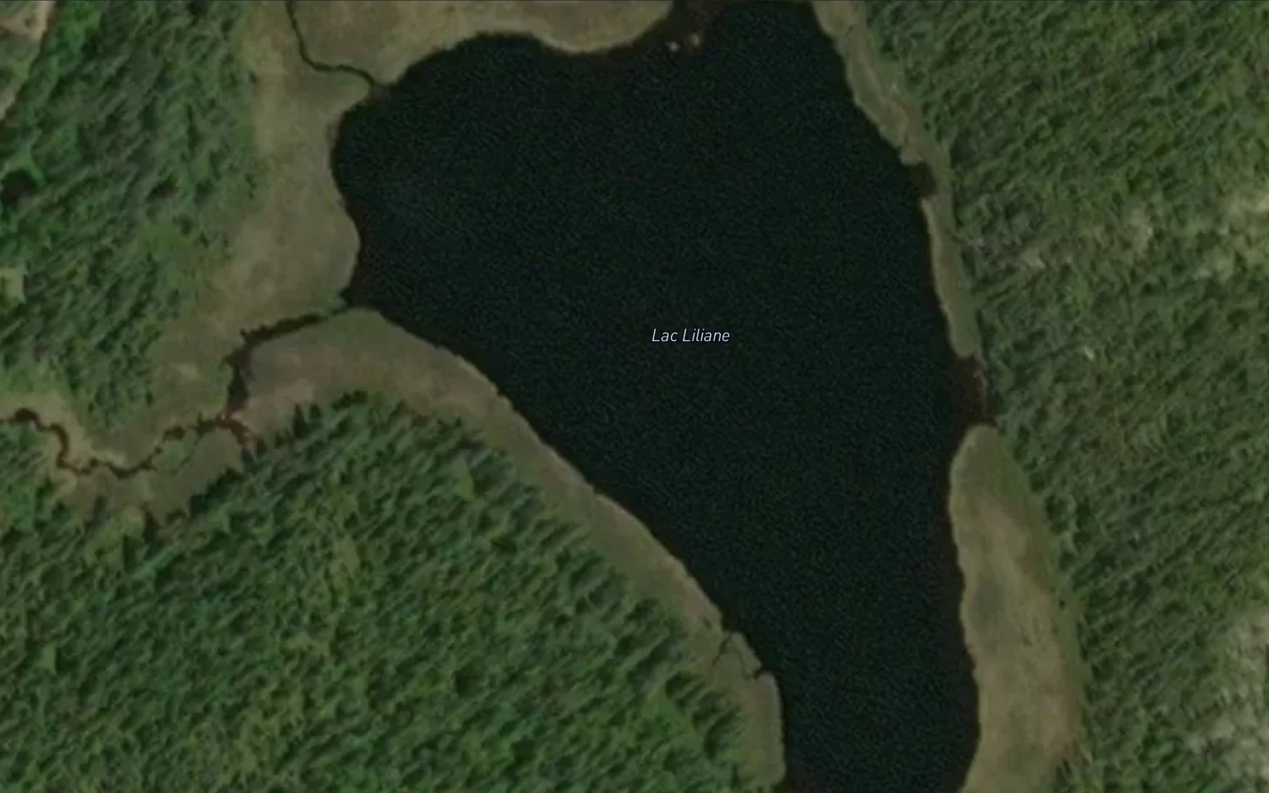 Satellite map of the Lac Liliane