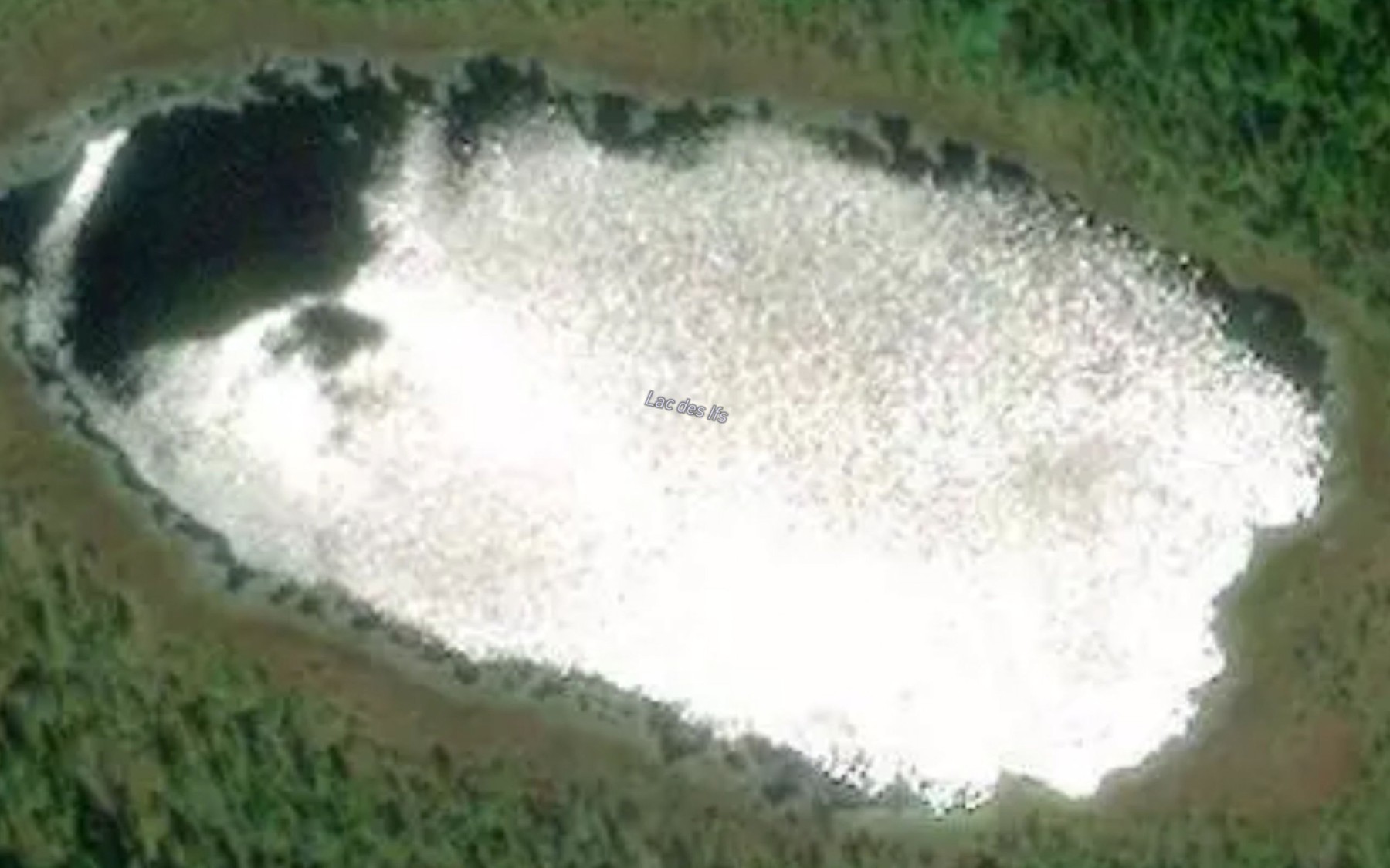 Satellite map of the Lac des Ifs