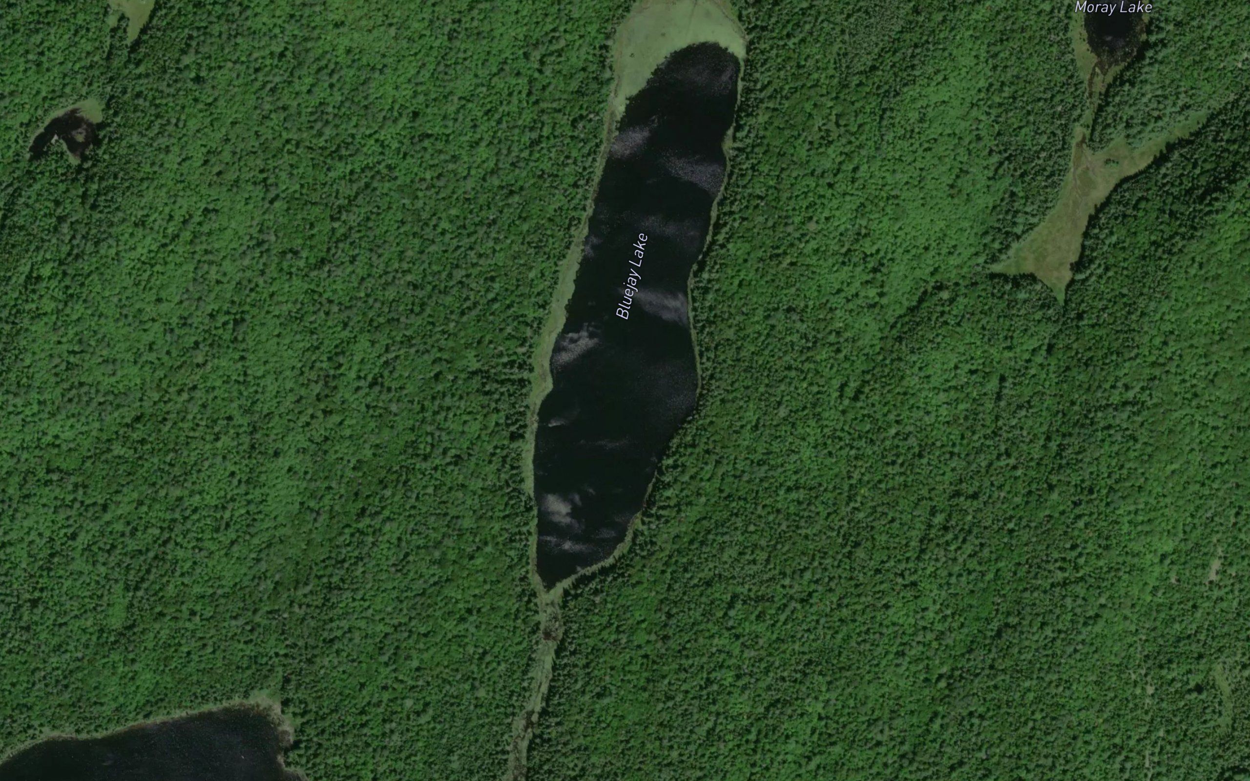 Bluejay Lake