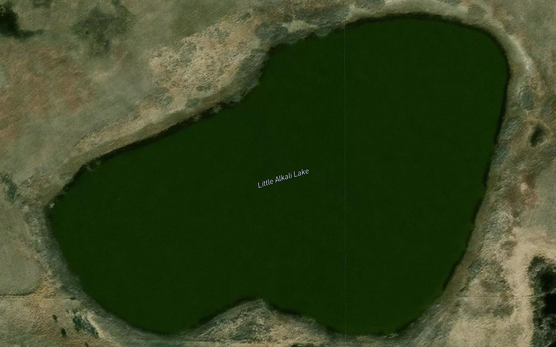 Satellite map of the Little Alkali Lake