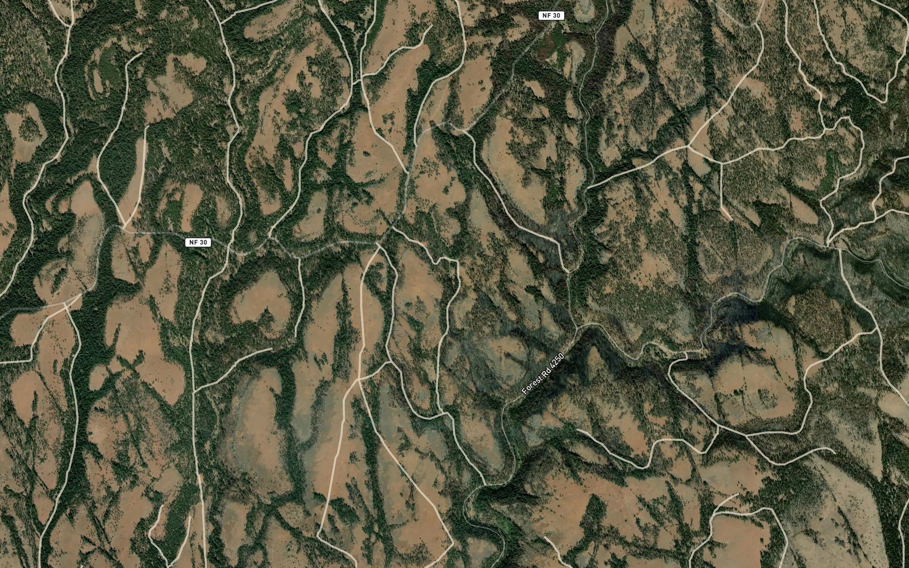 Satellite map of the Fir Tree Spring