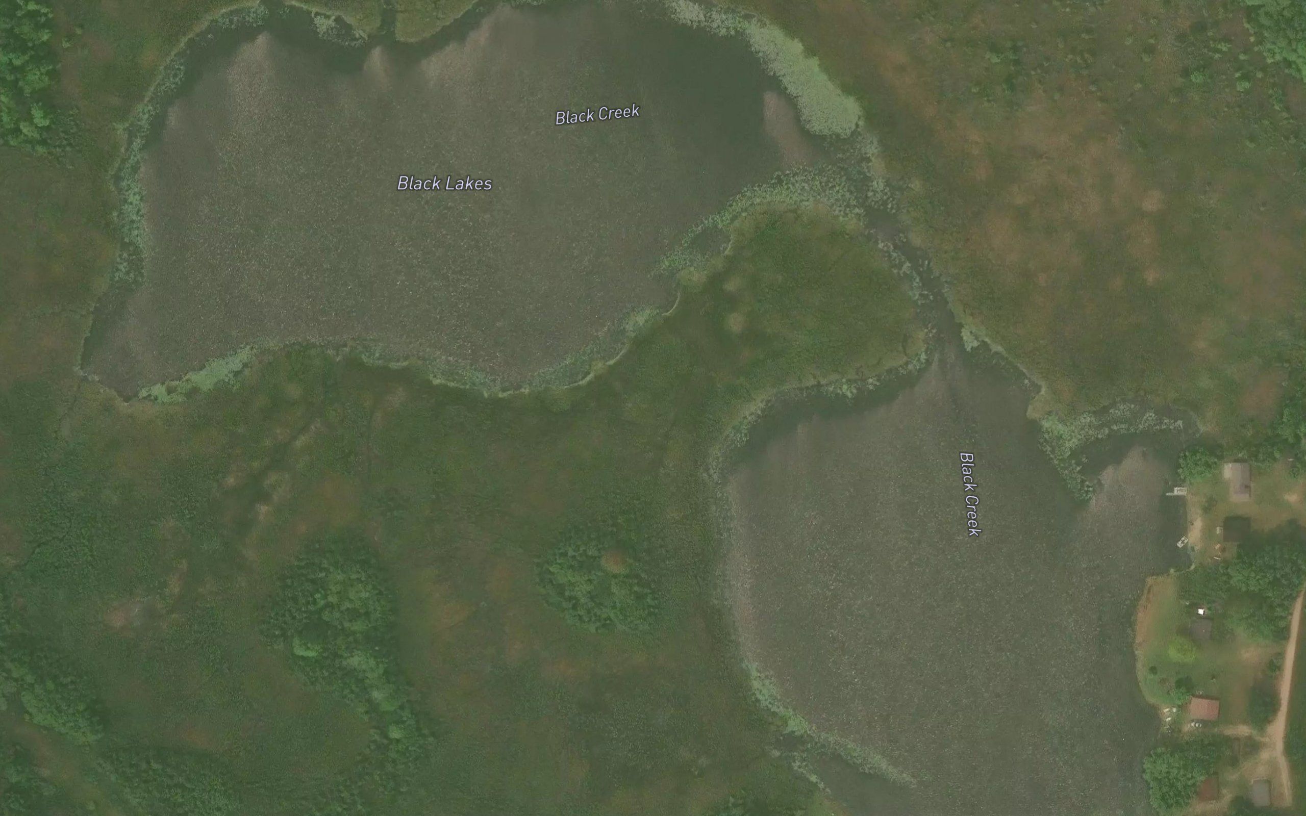Black Lakes