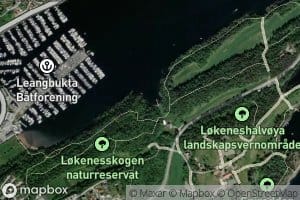 Esvika