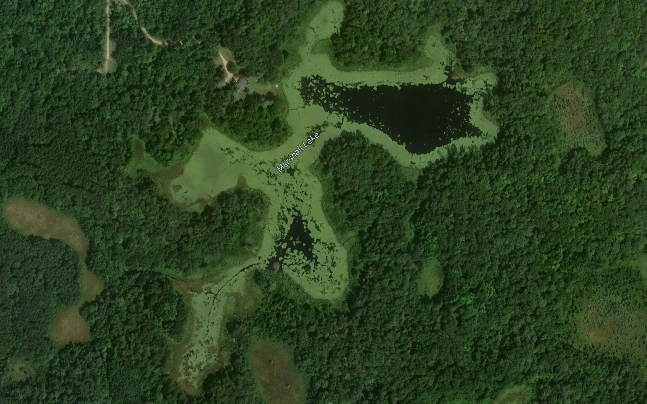 Marshall Lake