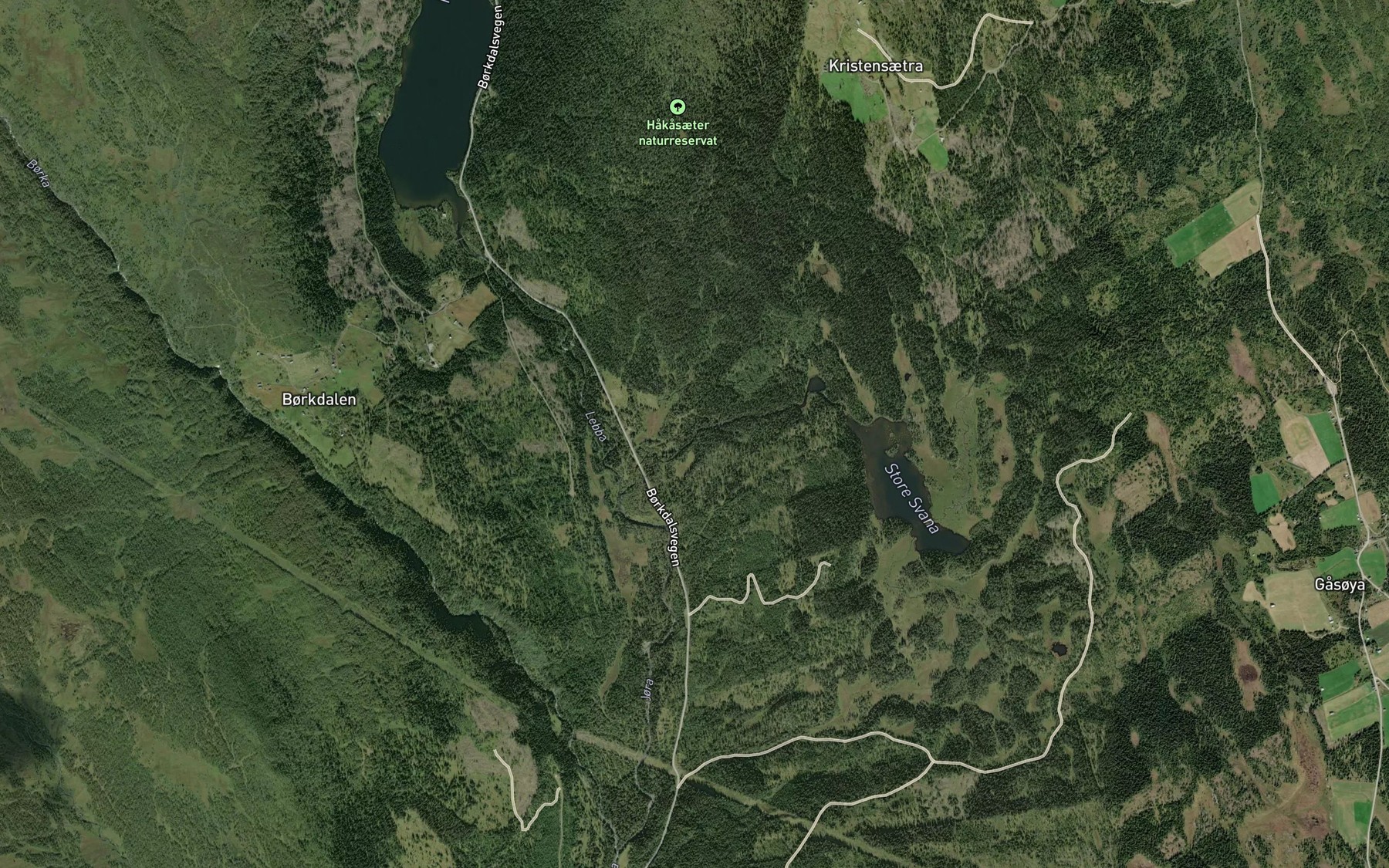 Satellite map of the Svanaa