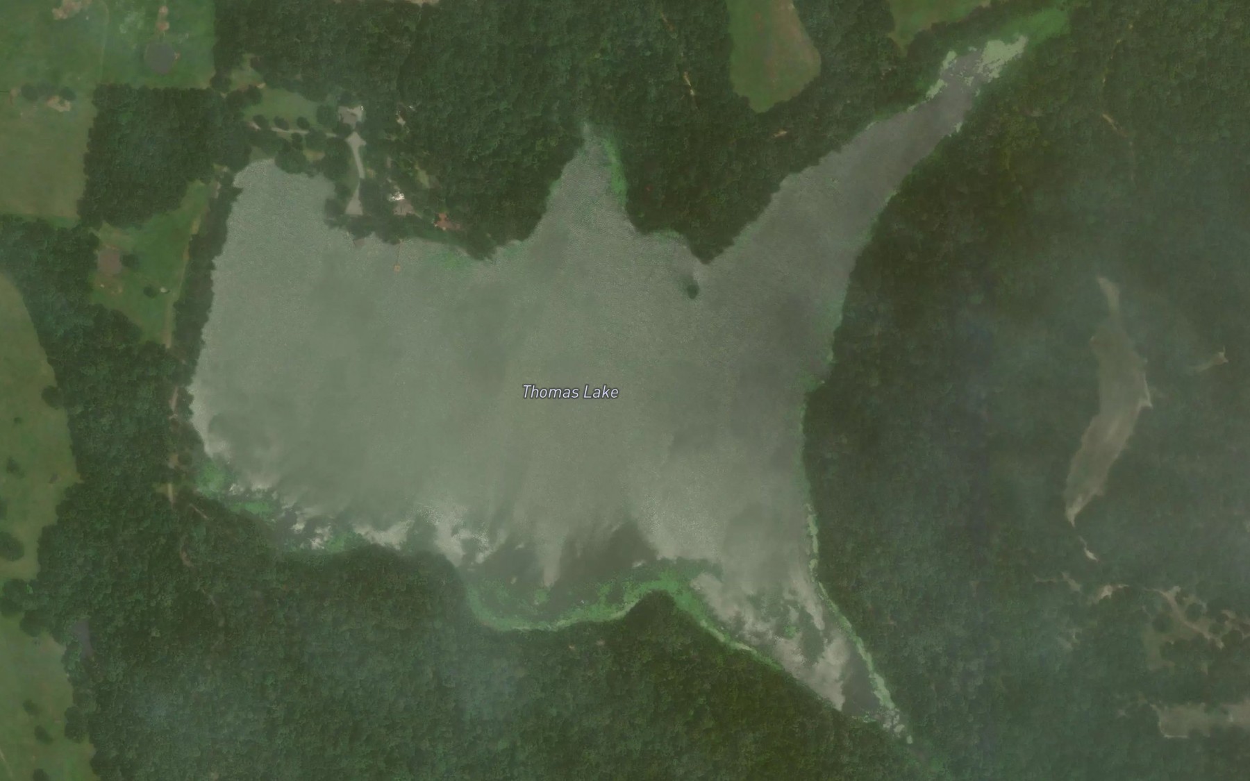 Satellite map of the Thomas Lake