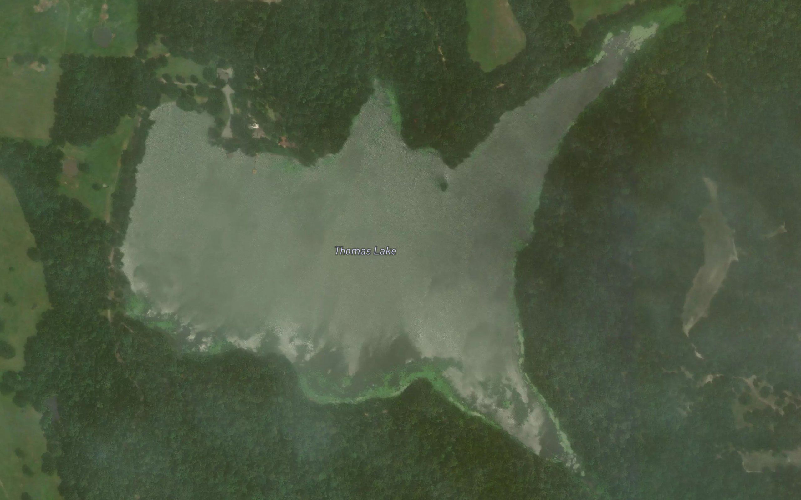 Thomas Lake
