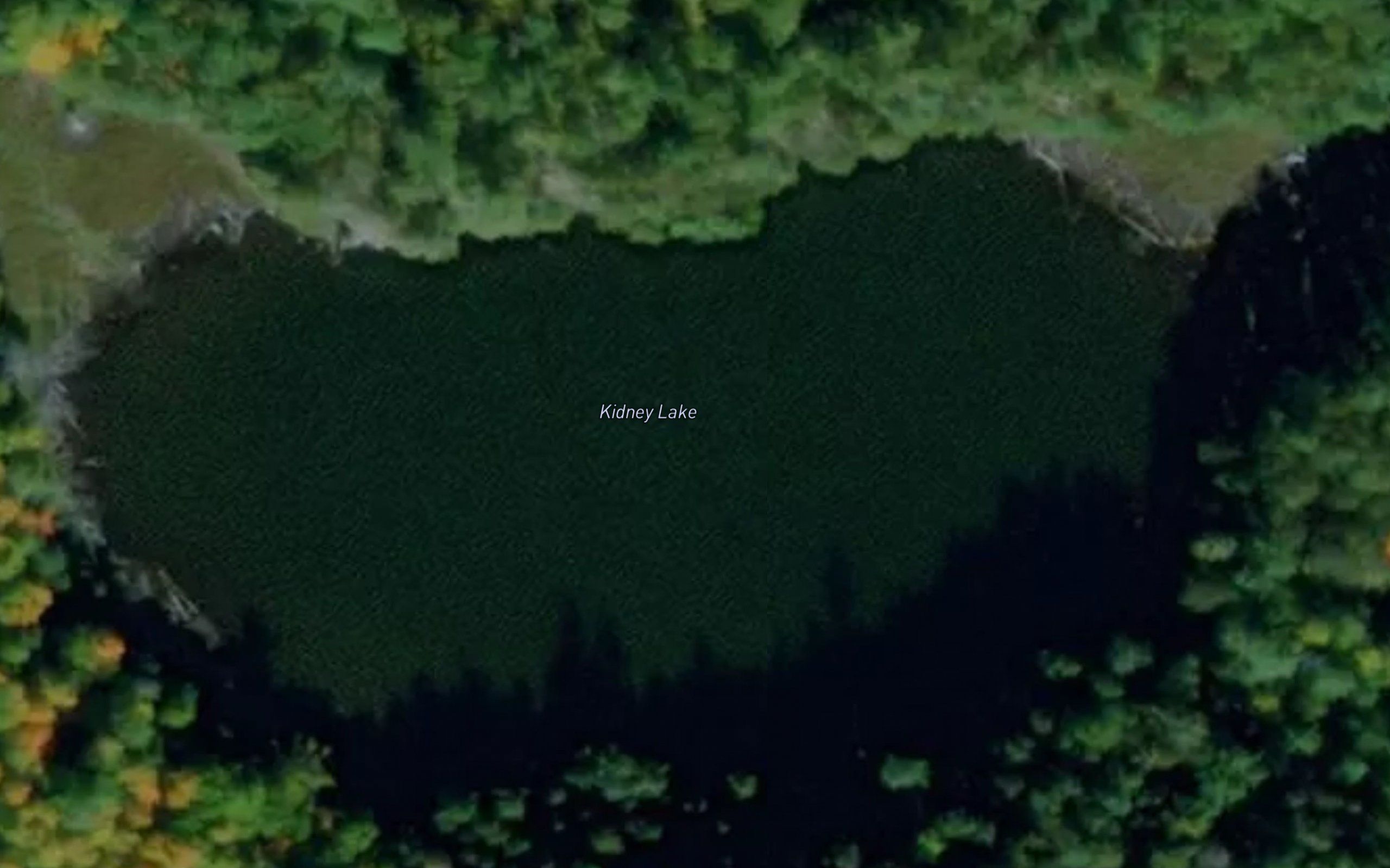 Kidney Lake