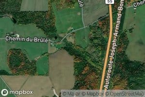 Branche Cote