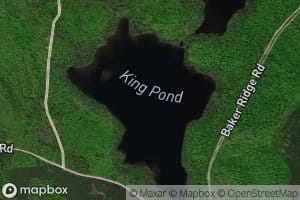 King Pond