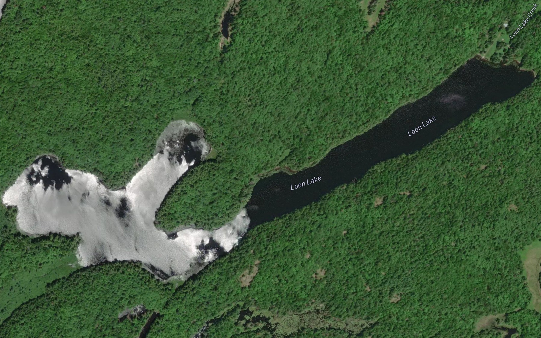 Satellite map of the Loon Lake
