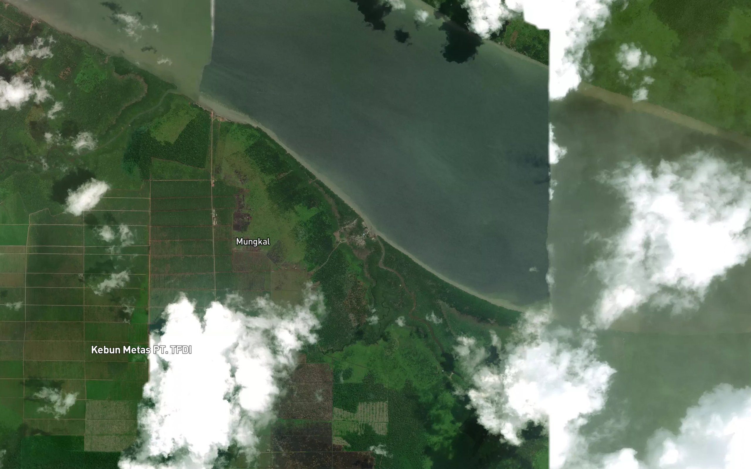 Sungai Mungkal