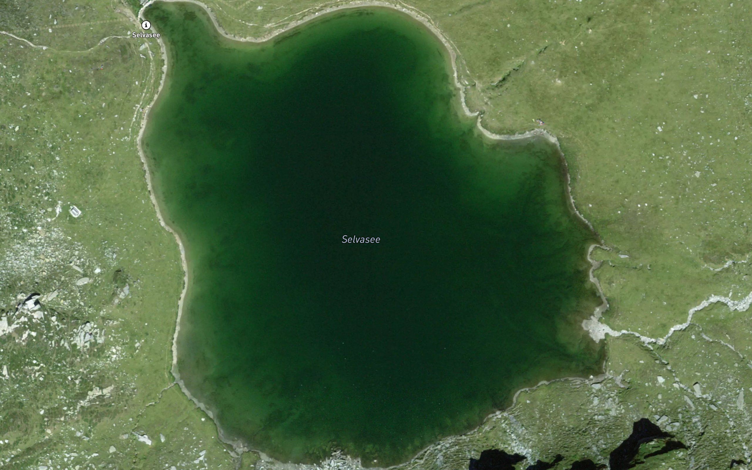 Selvasee