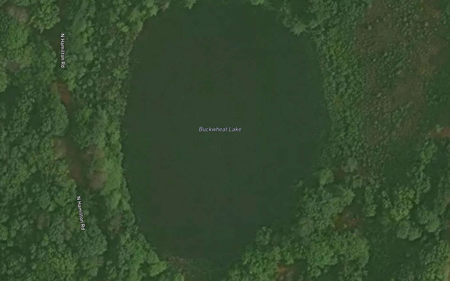Satellite map of the Buckwheat Lake