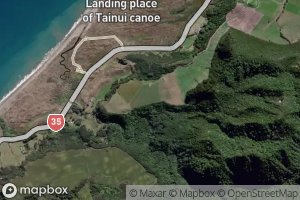 Satellite map of the Waitawake Stream