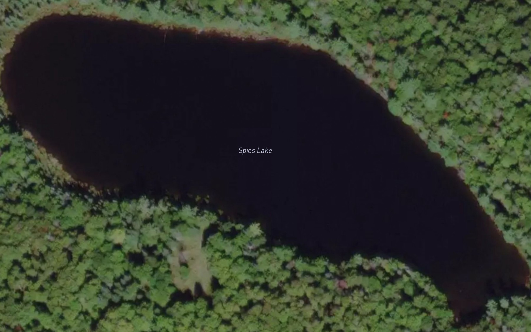 Satellite map of the Spies Lake
