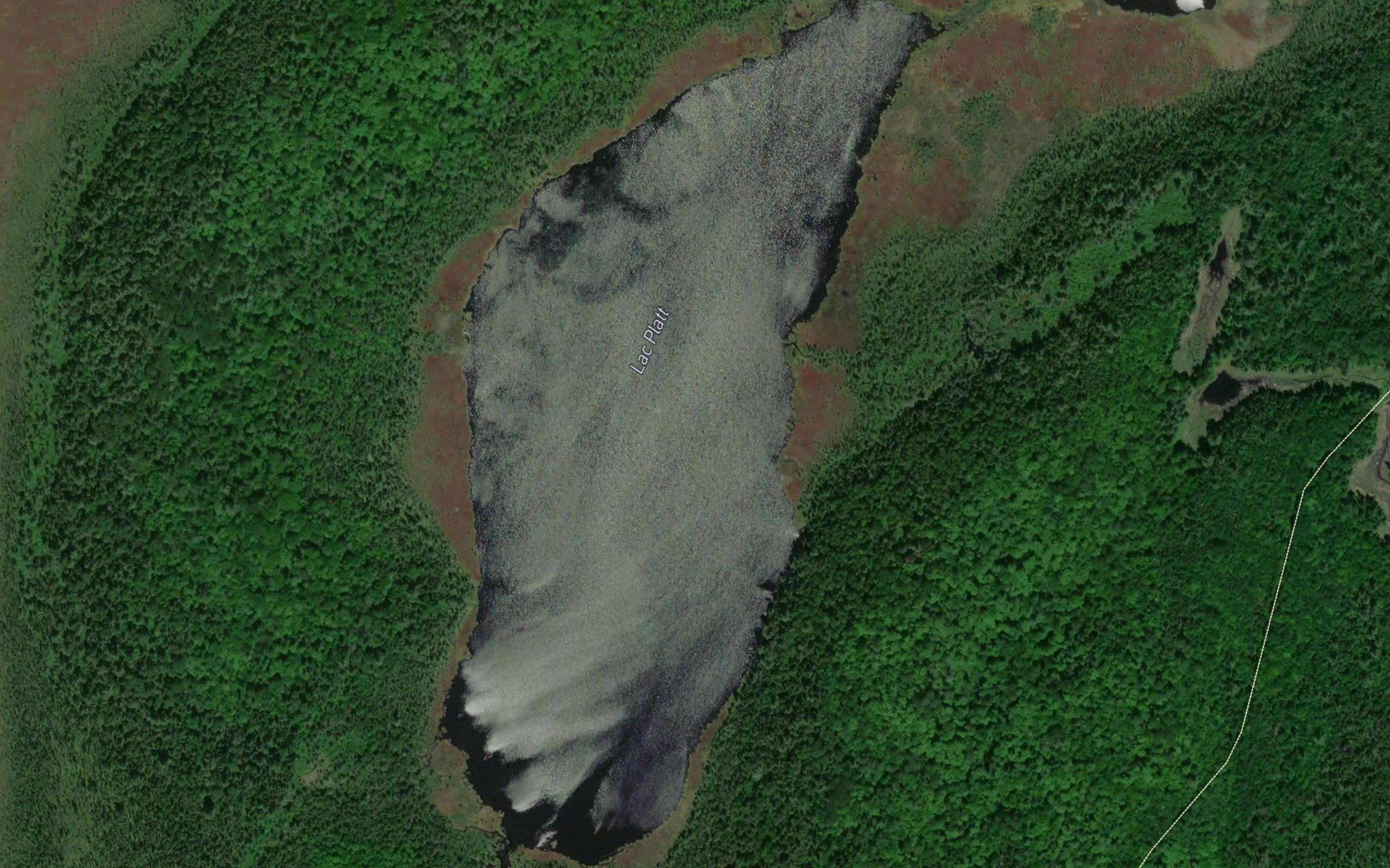 Lac Platt